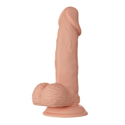 DILDO BEAUTIFUL ZEBULON 05-1344 DILDO BEAUTIFUL ZEBULON 05-1344