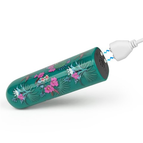 MINIWIBRATOR RECHARGEABLE ANTHEIA MASSAGER 24-0265 MINIWIBRATOR RECHARGEABLE ANTHEIA MASSAGER 24-0265