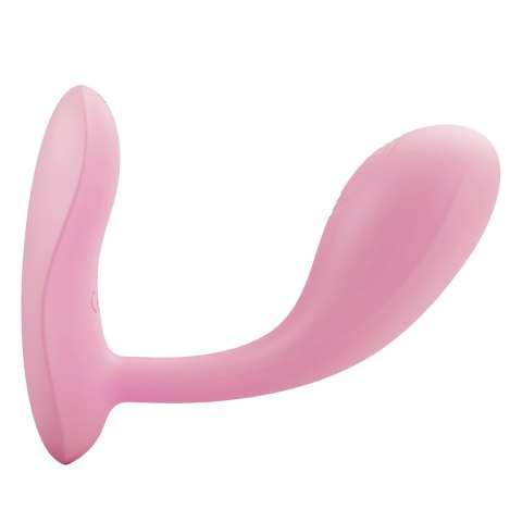PRETTY LOVE BAIRD 05-1361 PRETTY LOVE BAIRD 05-1361