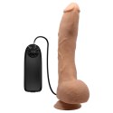 BAILE-Beautiful Jack 10.6""""