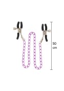Stimulating Nipple Chain Metal