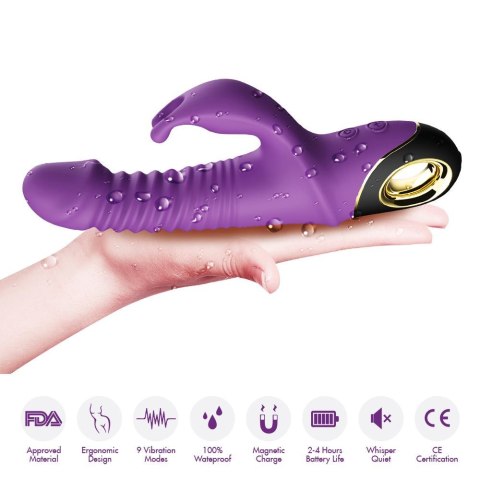 Zing purple Zing purple