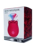 Stymulator-Massager USB 10 function