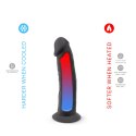 Dildo-S.D Model 2 ( 6'' )BLACK BOX
