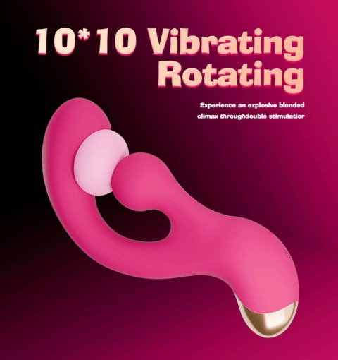 Sani Rotaing Vibrator