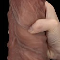 10.5'' Dual Layered Silicone Cock XXL