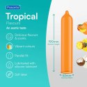 Pasante Tropical Condoms Bulk Packs 144 pcs