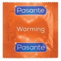 Pasante Warming Condoms Bulk Packs 144 pcs