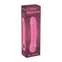 Pink vibrator - 10 different modes of vibration and heating function