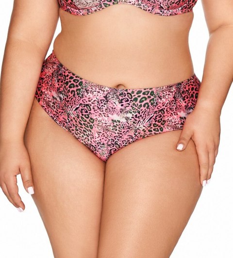Figi SF216/12 PIN Figi SF216/12 PIN
