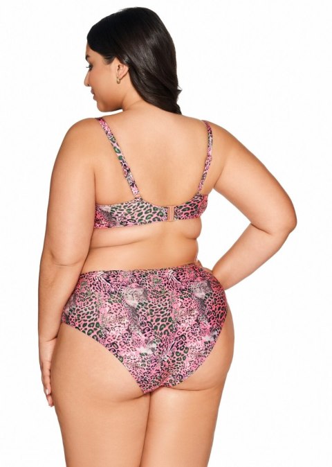 Figi SF216/12 PIN Figi SF216/12 PIN