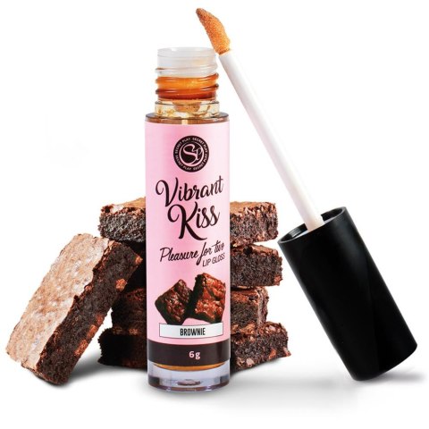 LIP GLOSS VIBRANT KISS BROWNIE LIP GLOSS VIBRANT KISS BROWNIE