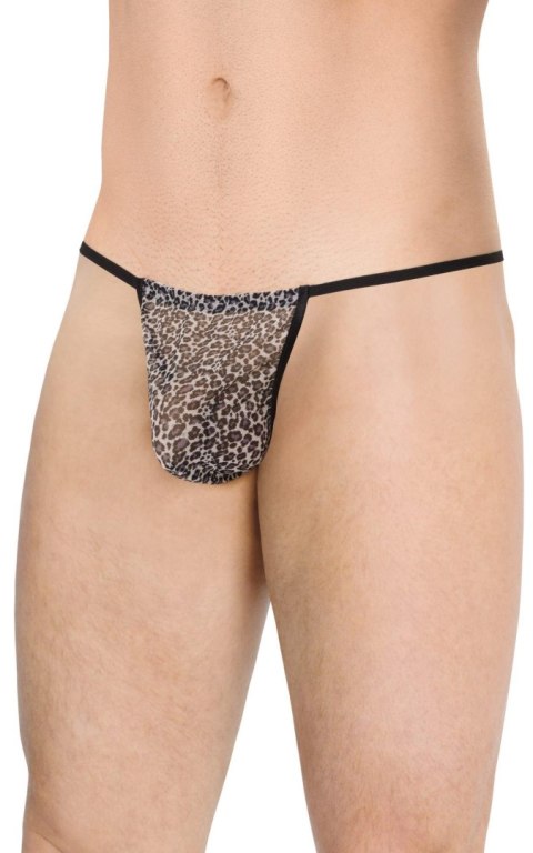 Mens Thong 4531 - grey panther OneSize